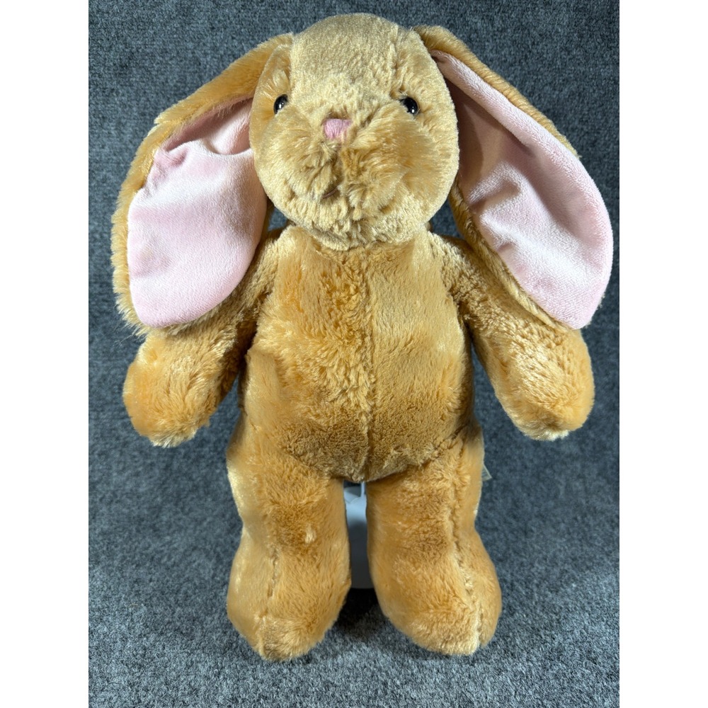 Build-A-Bear Workshop Lil Honey Bunny Tan Pink Floppy Ear Rabbit Plush 15 inch